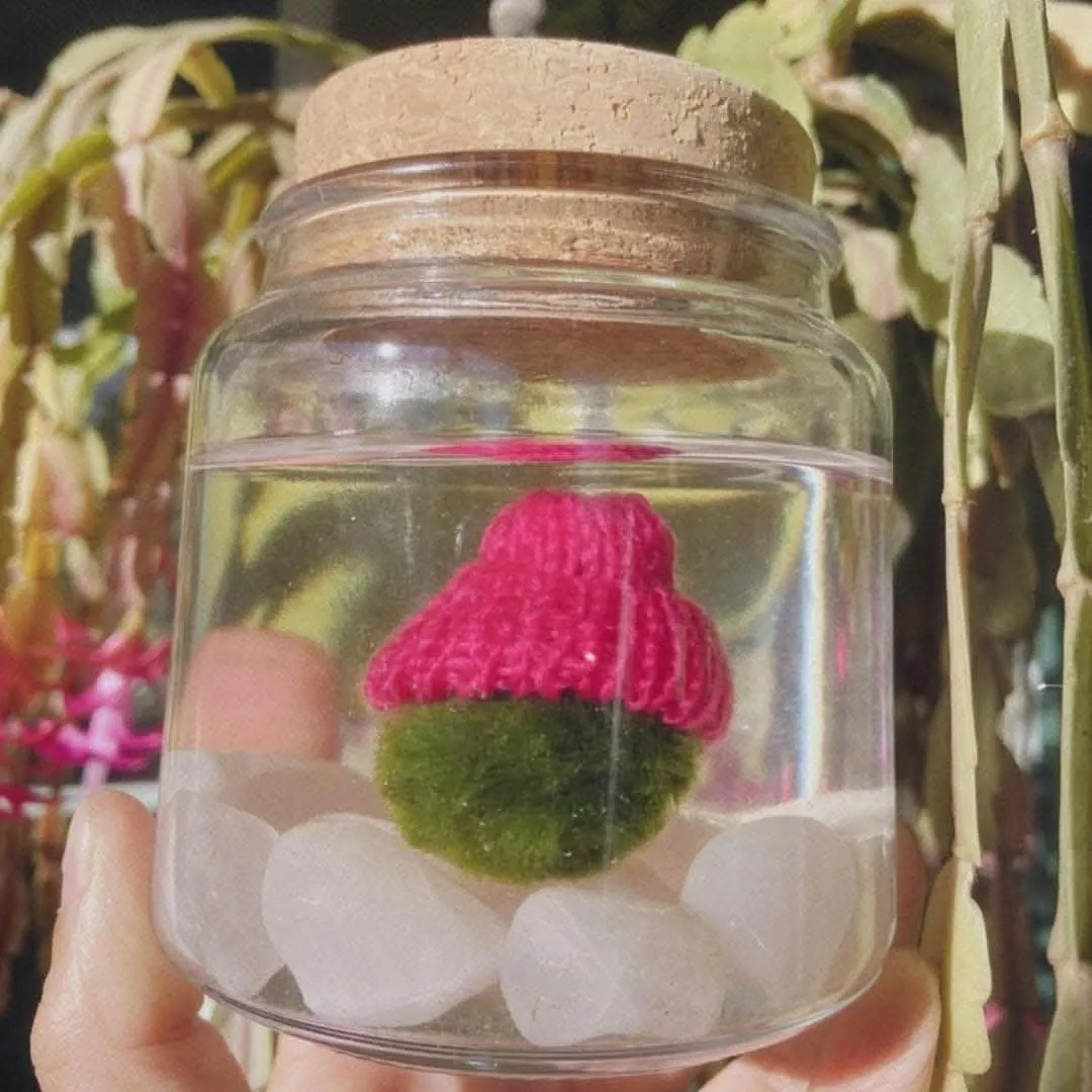 Moss Beanie